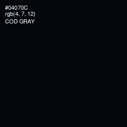 #04070C - Cod Gray Color Image